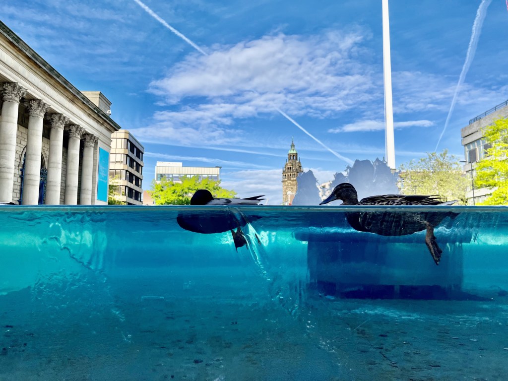 Tick-Croak  6’27’’ stereo